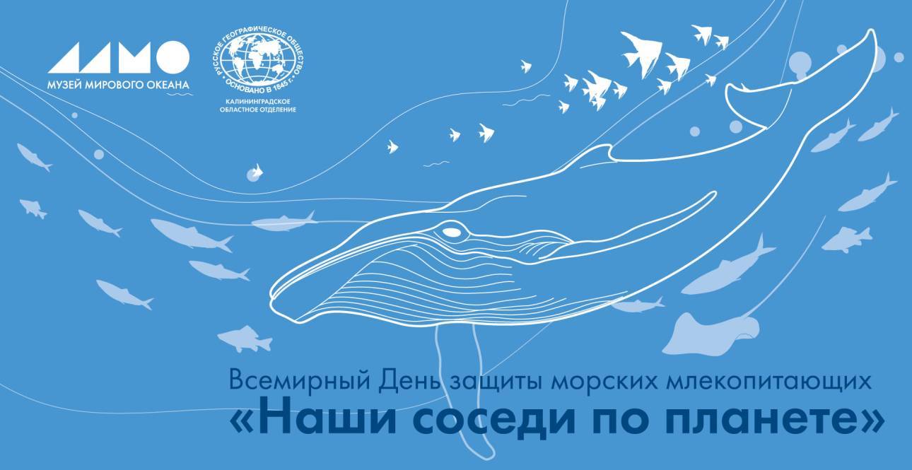 День защиты морских млекопитающих в морском музее
